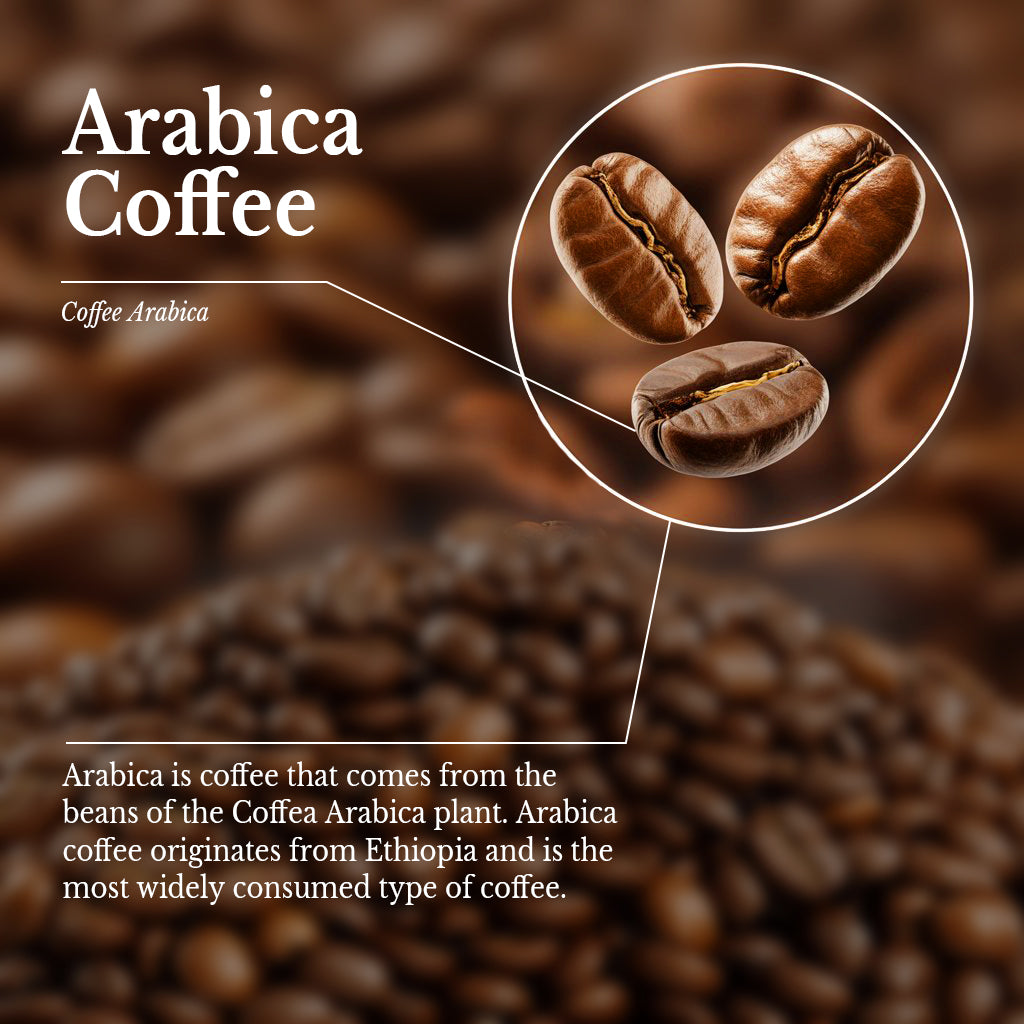 Light Medium Roast - Arabica