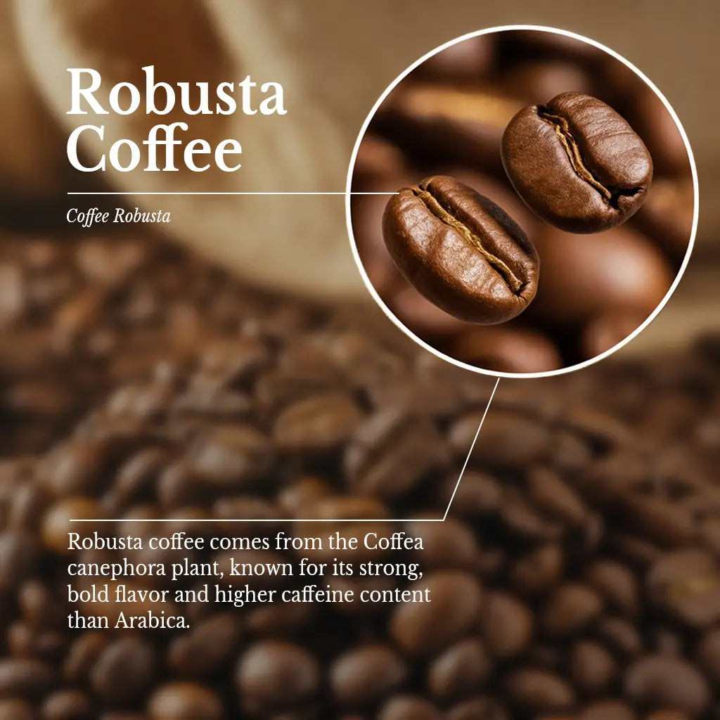 Medium Dark Roast- Robusta
